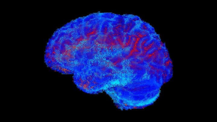 Brain Point Cloud 3D Model