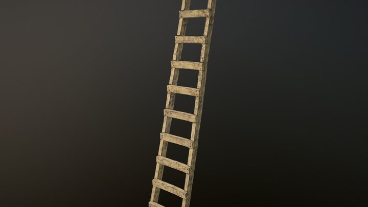 Wooden Ladder 3D Model