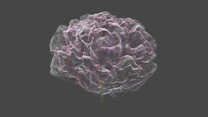 Peony point cloud 3D Model