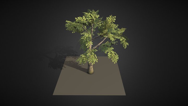 Free Tree download.FBX 3D Model